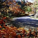 치악산자연휴양림 이미지