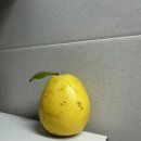 팔도빈대떡앤보쌈 | 25년 10월 ⑤ 병원 면담, 3일 연속 운동, 배란유도제 4회차, 피지컬 아시아 시작, 정선아리랑시장, 최악...