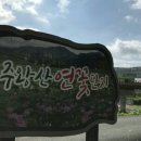 연꽃단지 이미지