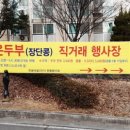자운두부 이미지
