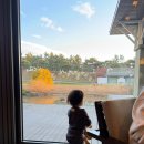라카이샌드파인 사우나, 더 라니 사우나 | 아이와 함께 이용한 라카이 샌드파인 수영장 &amp; 사우나 그리고 조식 실제 후기