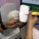 버블독스 가정루원시티점 이미지