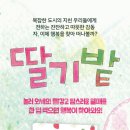 딸기밭/그래제본소/김영(펀딩 2.1~2.21) 이미지