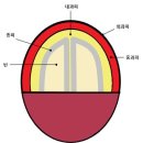 커피 빈(bean)은 그렇겐 안 자란다 이미지