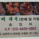 이삐다육농장
