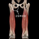 테라피 요가 이미지