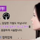 쎄다모