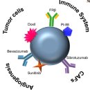 암세포 미세환경(Targeting Tumor Microenvironment) for Cancer Therapy 2019 리뷰논문 이미지
