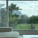 스테이 남양 이미지