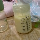 빛고을세탁 | 광주 빛고을조리원 후기 / 신생아 황달치료