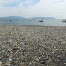 만성리해수욕장(자갈밭) 이미지