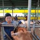 김경진농장 이미지