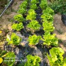 숲속향기생태어린이집 이미지