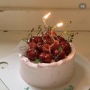 제뉴어리피크닉 | <한성대입구역 생일 케이크 추천> 제뉴어리피크닉 방문 후기