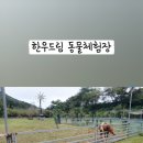 한우드림농장 이미지