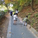 강남구청어린이집 이미지