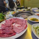 황소실비 이미지