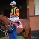 청룡축산 이미지