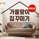 꾸미기 이미지