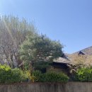 서초대로27길 25 이미지