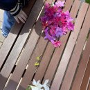 창의 종이접기 이미지