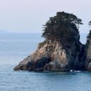 명품관광 이미지