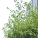 상록구청 상록구시민홀 이미지