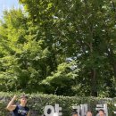 크로스핏 타키온 이미지