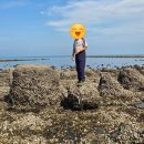 진촌리 | [인천/대청도] 지오갯팃길을 따라 떠난 대청도/백령도 지질학 여행 ③ 백령도 편