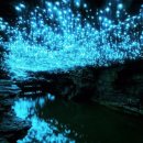 반딧불마을 | 뉴질랜드여행 남섬 추천 투어ㅣ테아나우 반딧불 동굴 실제 후기