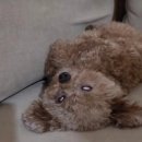 완도백반집 이미지