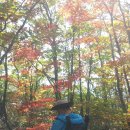 옥계 백봉이네 이미지