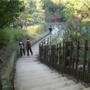 공원-23(노량진근린공원) 이미지