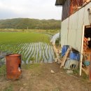 동진2농장 이미지