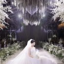더미스튜디오 | 노비아갈라 전자관 보타닉가든홀 '베넷 스튜디오' 본식 촬영 후기(짝꿍코드O)