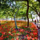 국민여가캠핑장 2 이미지