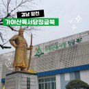 경남 합천 가야산독서당정글북 총정리 합천아이랑가볼만한곳 경남실내가볼만한곳