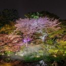 2024-03-0075 - 완주군 | 2024-03-0075