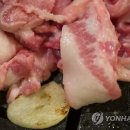 청년 김해 뒷고기 이미지