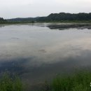 화홍낚시