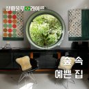[브라질] 상파울루 근교 에어비앤비 - 숲 속에 퐁당 Mariposa