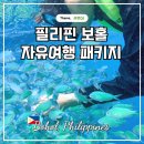 벌말기사뷔페 앞 교통섬 | 필리핀 보홀 자유여행 패키지 비용 3박5일 추천 여행 일정