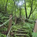 908차) 홍천 청량봉(1053m) 미약골 정기산행 예고 이미지