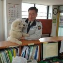 옥구지구대 이미지