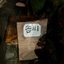 솜씨판다 | 마곡나루 맛집| 신상 이자카야 ‘솜씨’ 내돈내산 솔직후기