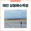 처갓집펜션 | 아이랑 가기 좋은 태안 삼봉해수욕장 해피트리펜션 1박2일 여행 후기 :)