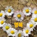 그림책 감정 회복하기 이미지