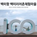 백미항 물때 백미리 어촌체험마을 예약 경기도 화성 서울 근교 갯벌체험