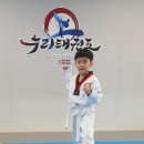 누리태권도장 이미지