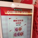 서울숲청과